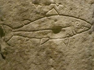 نماد ماهی در دفینه یابی