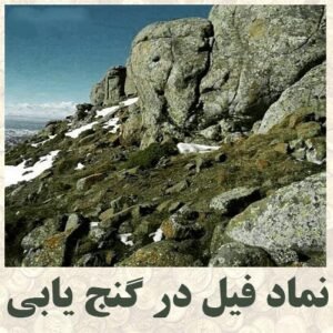 نماد فیل در گنج یابی