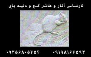 نماد موش در دفینه یابی