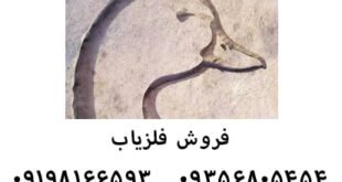 اردک یا غاز در گنج یابی