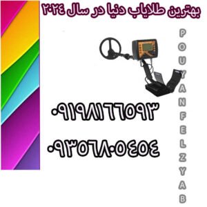بهترین طلایاب دنیا در سال 2024