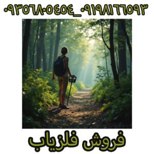 فلزیاب پالسی