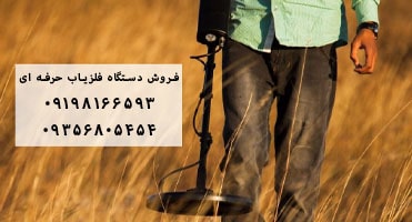 فلزیاب حرفه ای