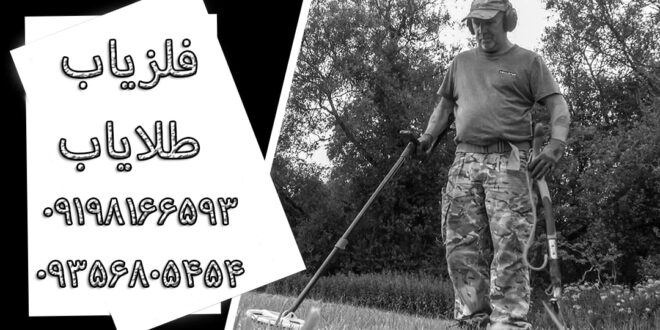 گنج یاب حرفه ای